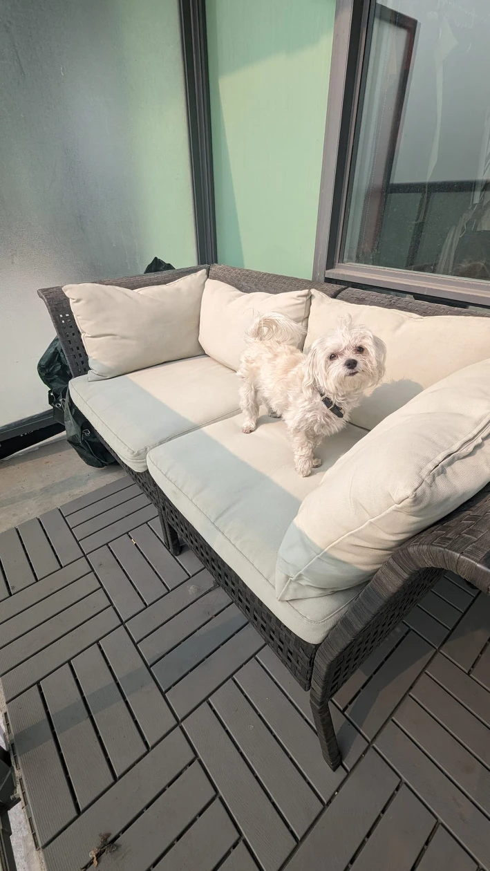 Ikea Outdoor Couch