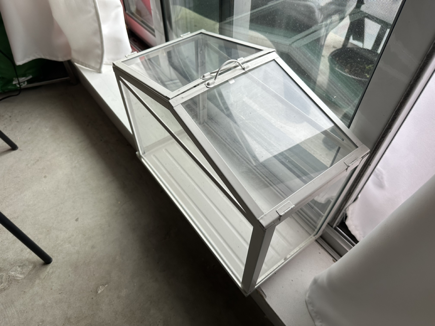 IKEA Plant Terrarium - photo 5
