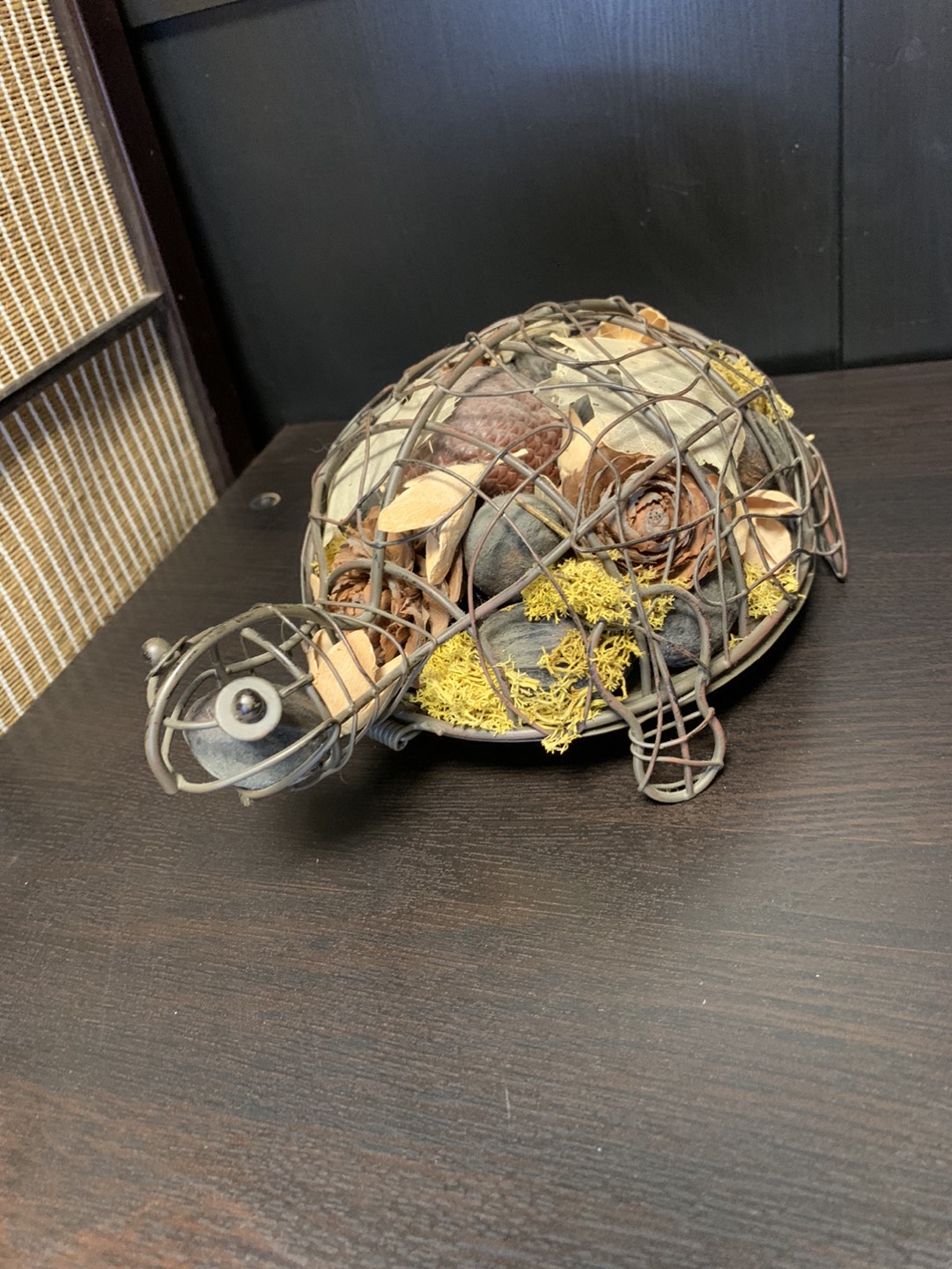 Cutest potpourri turtle 🐢 thumbnail