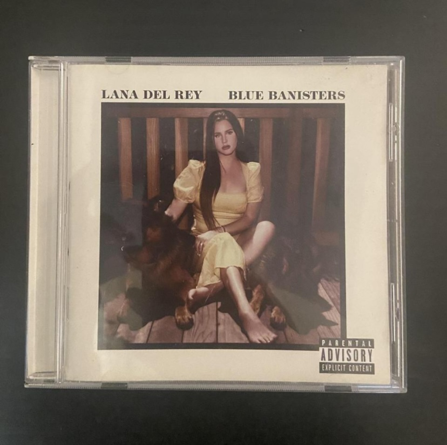 Lana Del Rey Album ‘Blue Banisters’💙 thumbnail