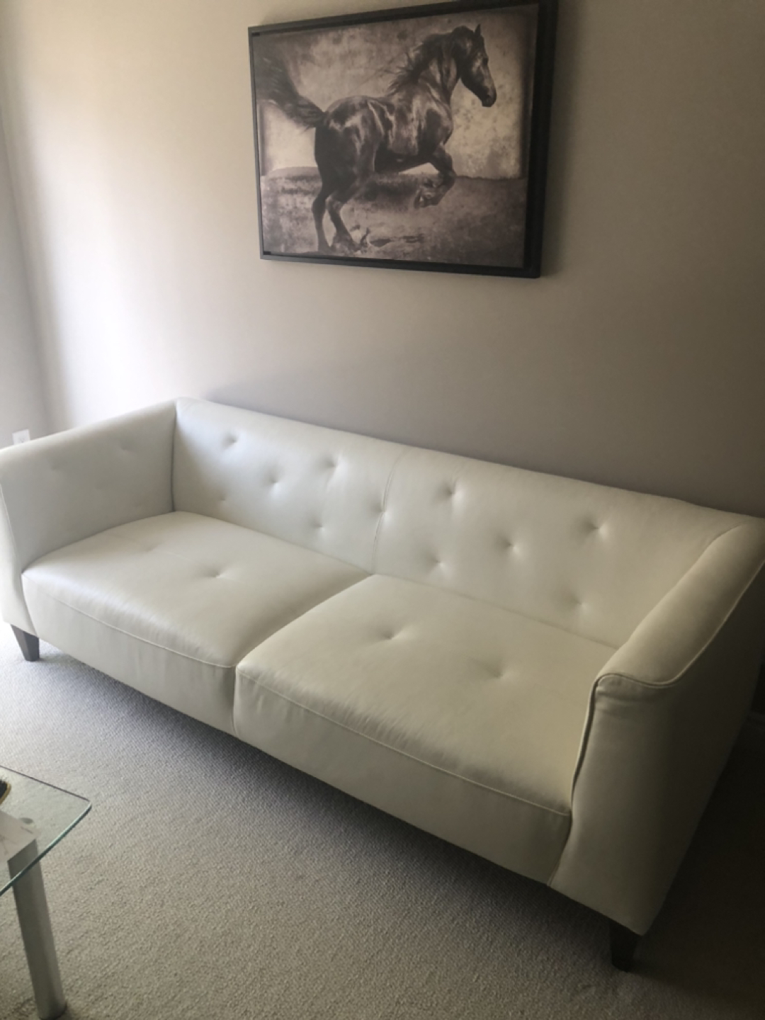 Sofa modern leather