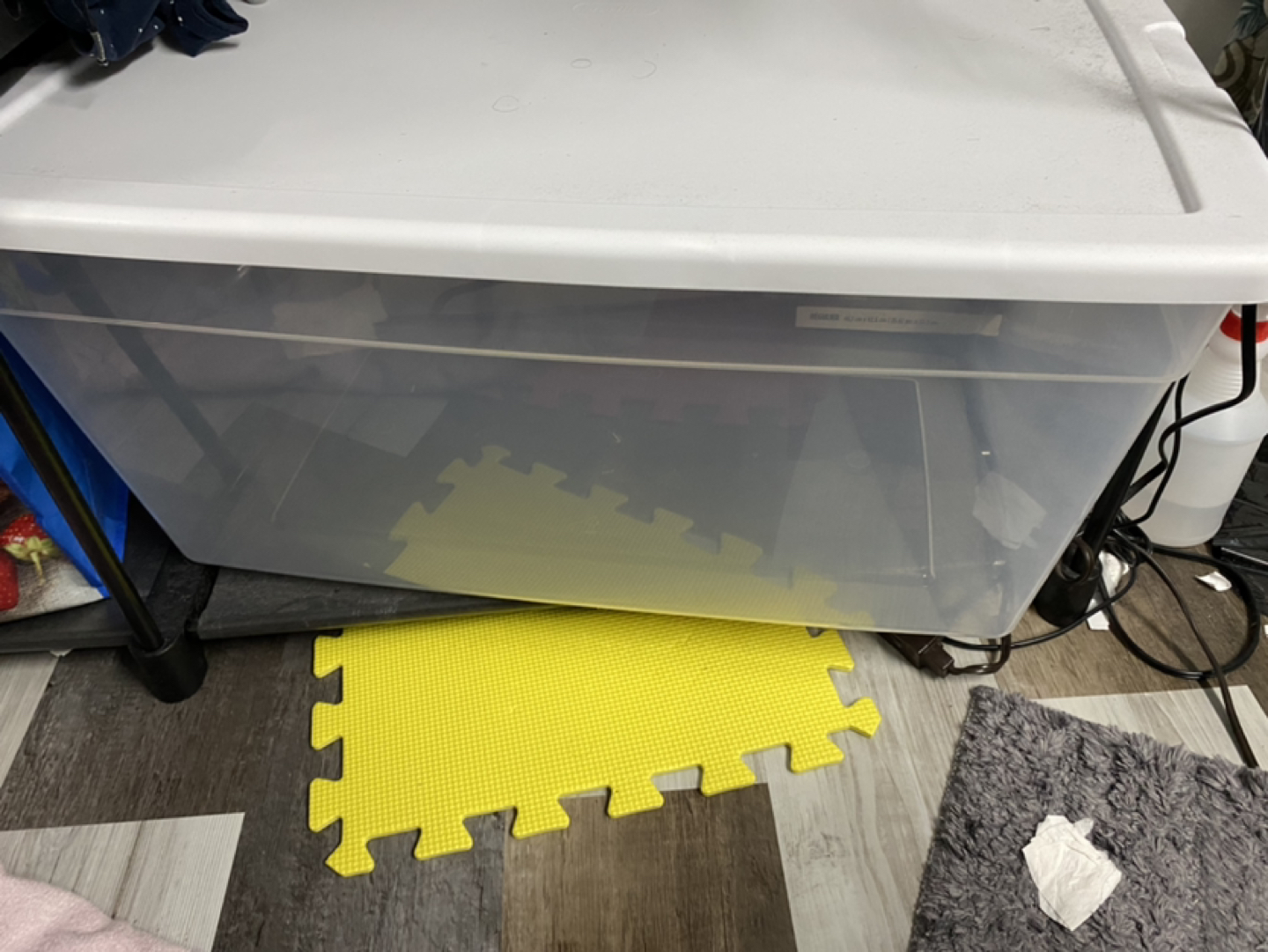 60Litre transparent bin - photo 2