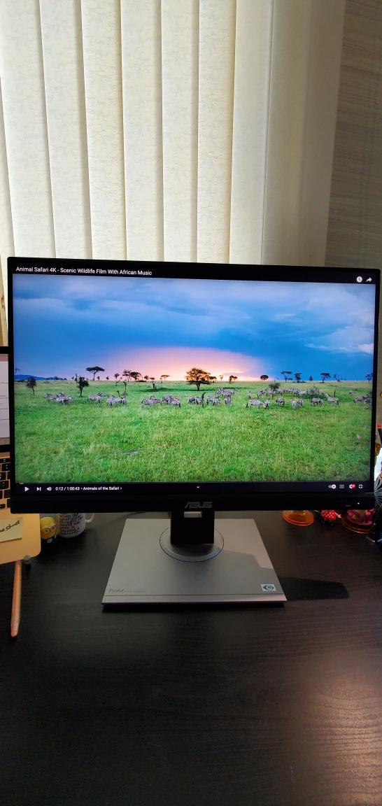 Asus Studio Grade Proart 24 inch Monitor - photo 2
