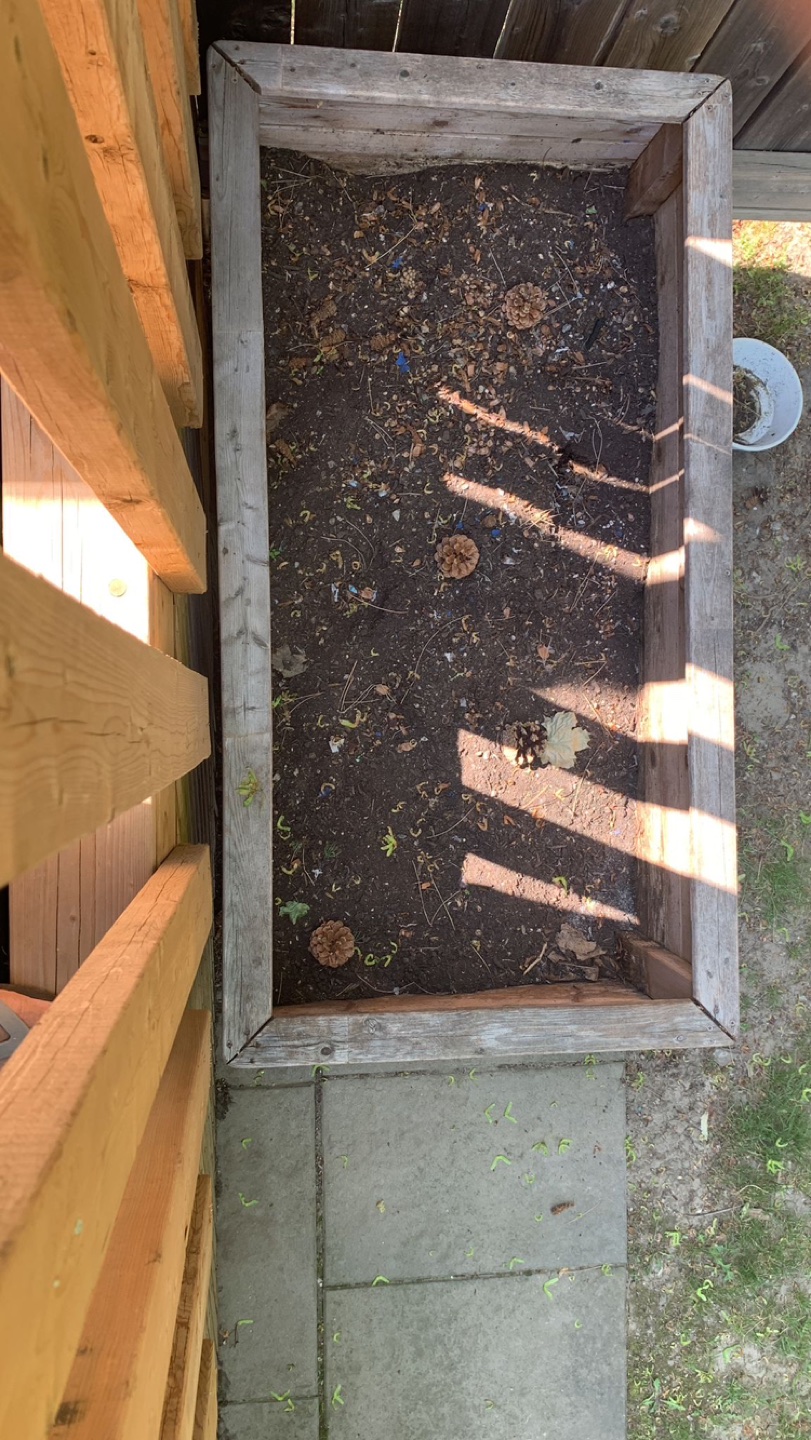 Big size planter⬆️ thumbnail