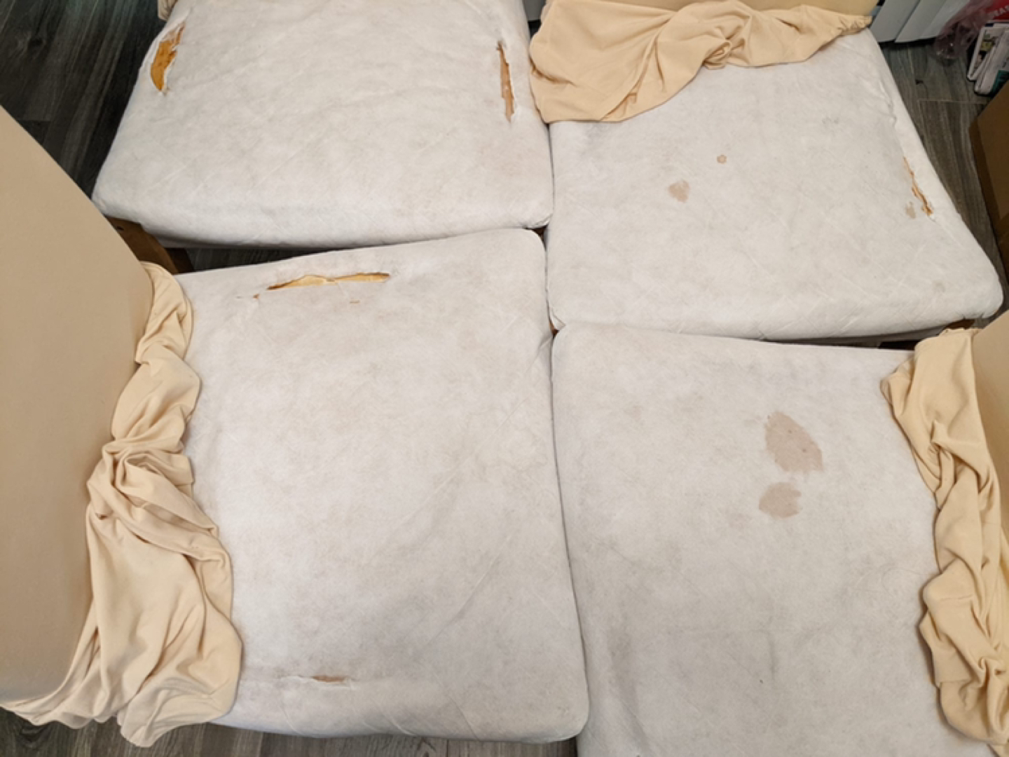 #Freecycle Dining chairs with machine washable covers - photo 2