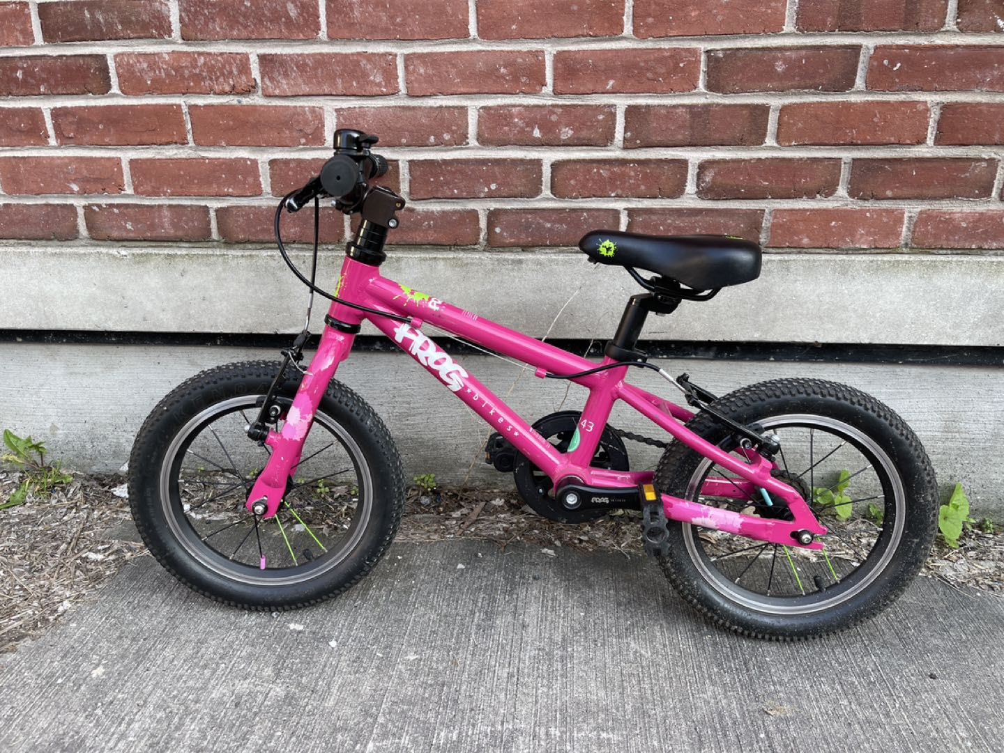Frog 43 Bike