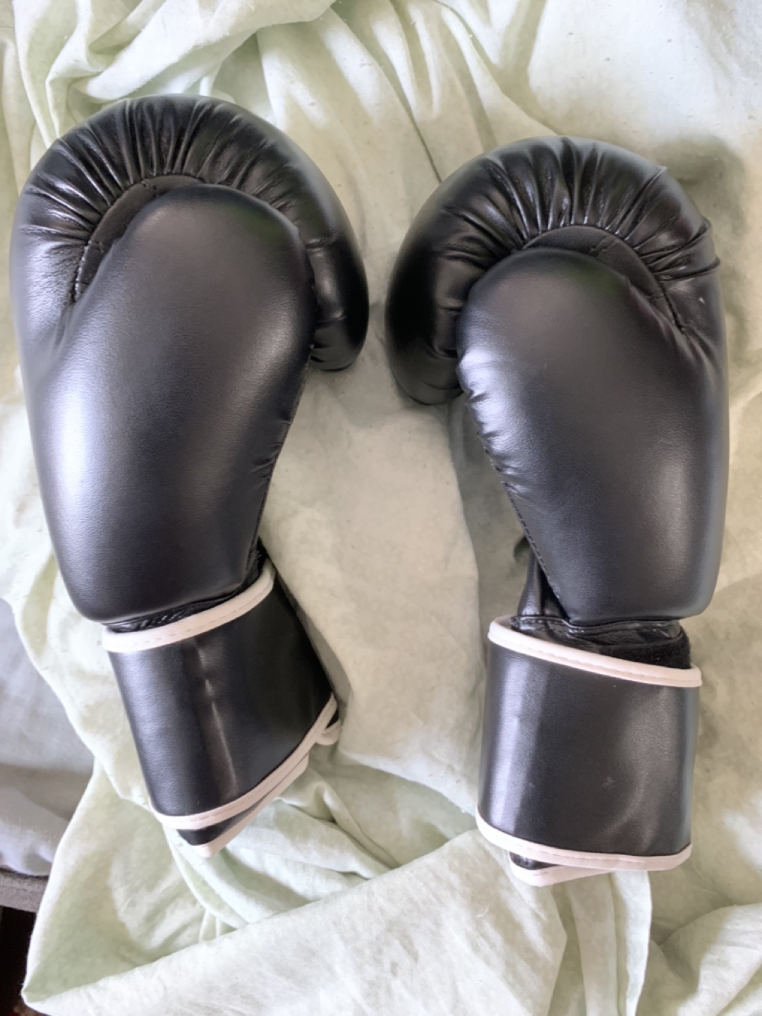 12oz Boxing Training Gloves