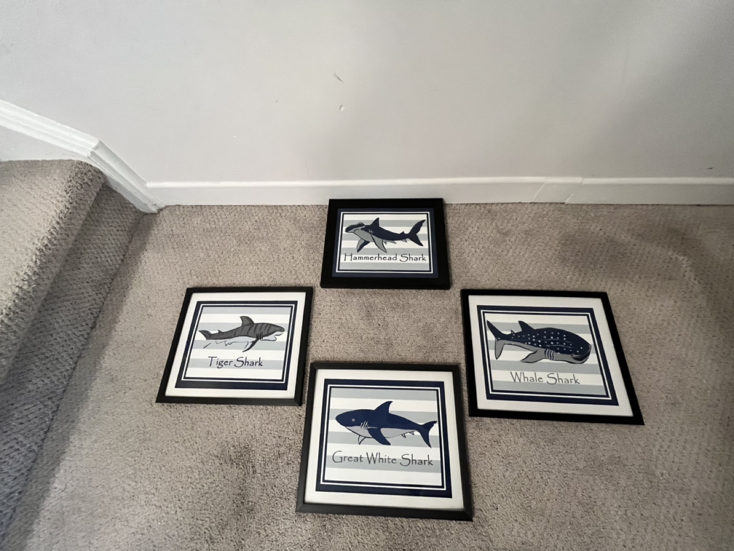 Shark wall art