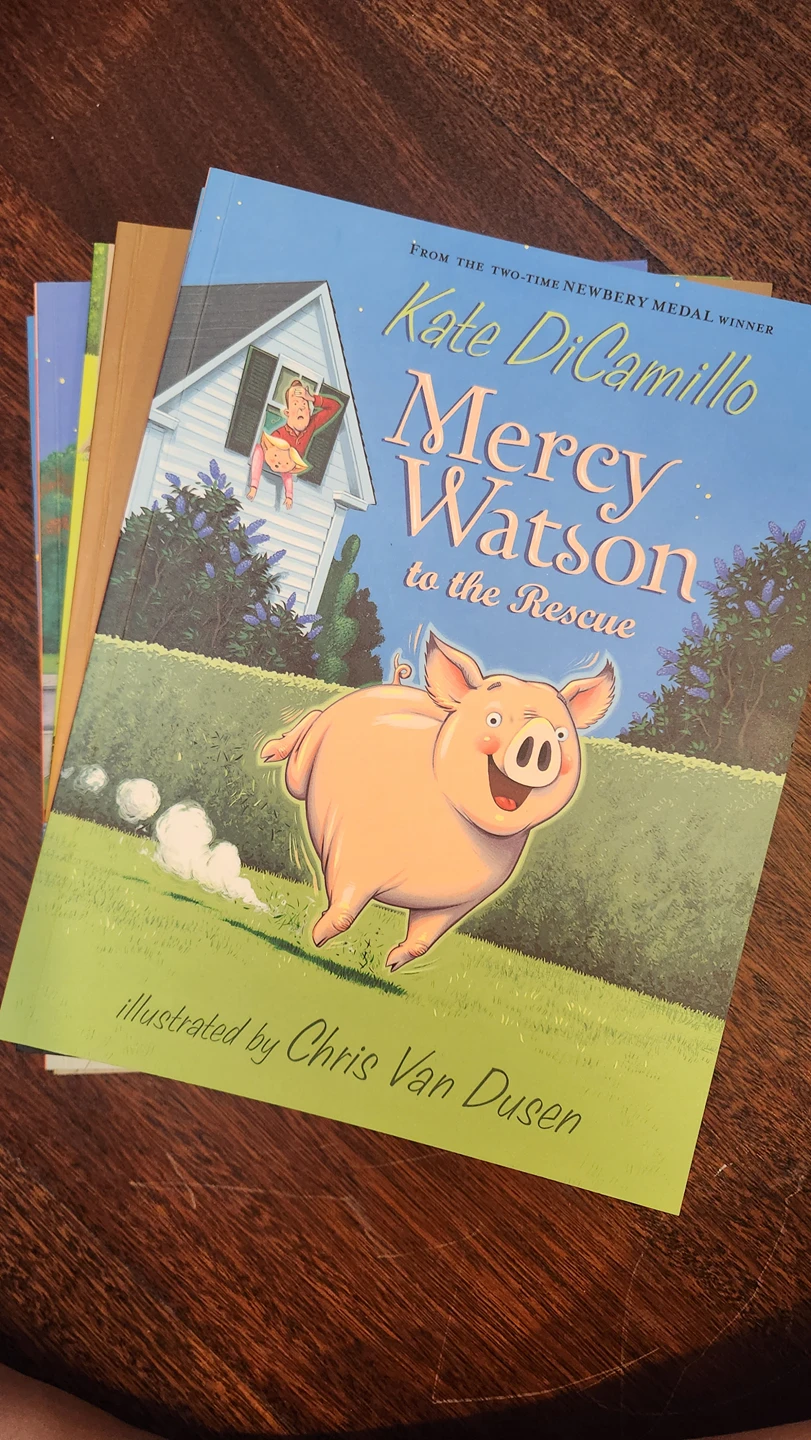 lids book - mercy watson series