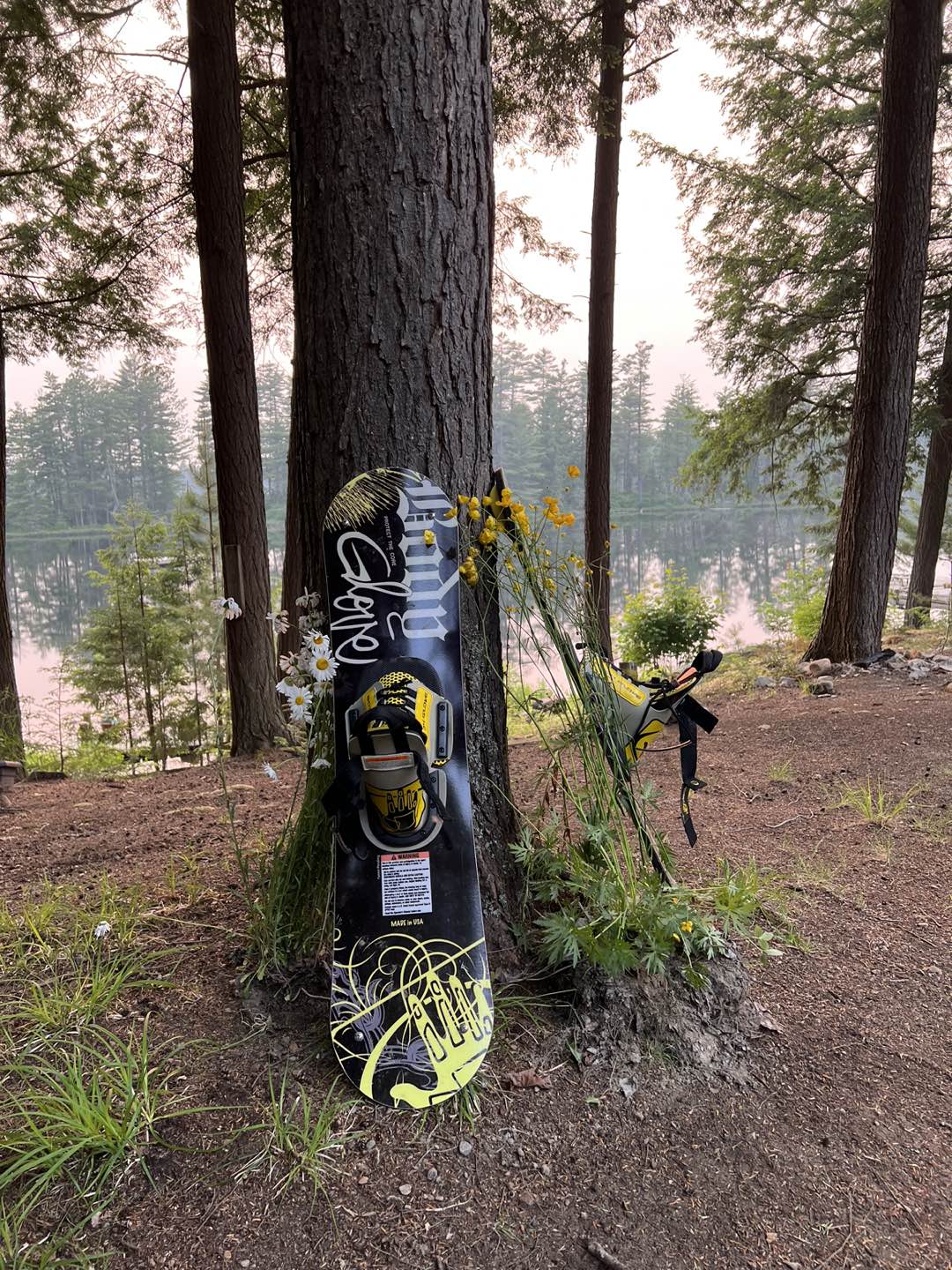 Water skis image indicator(4)