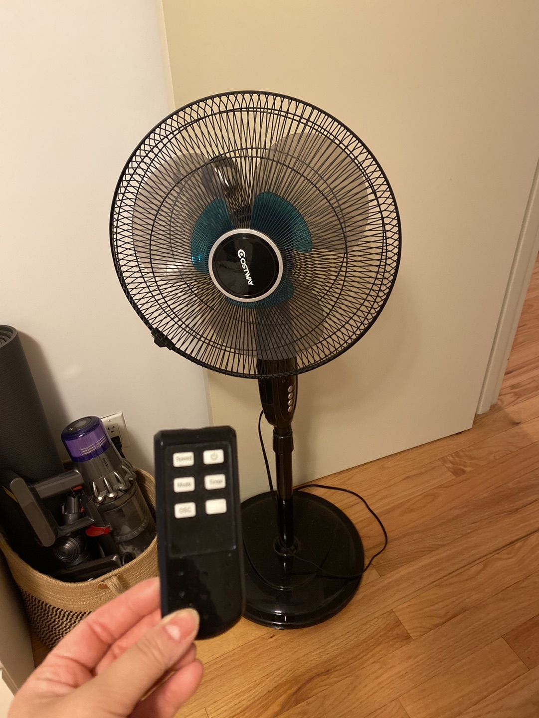 Fan with remote