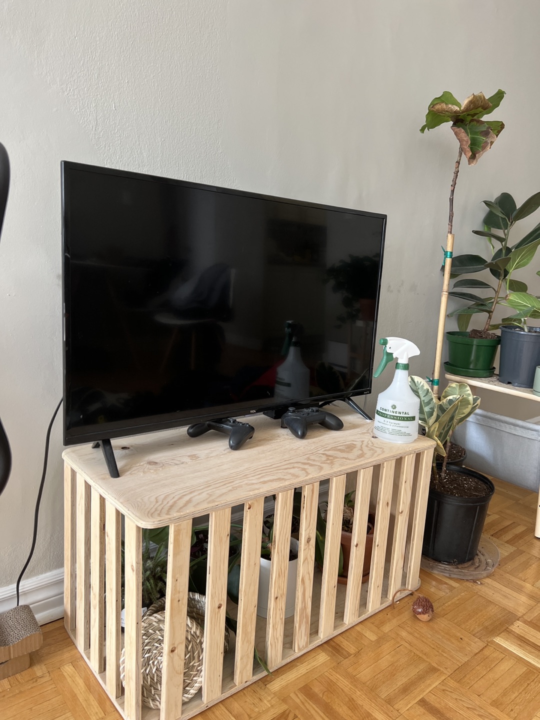 TV