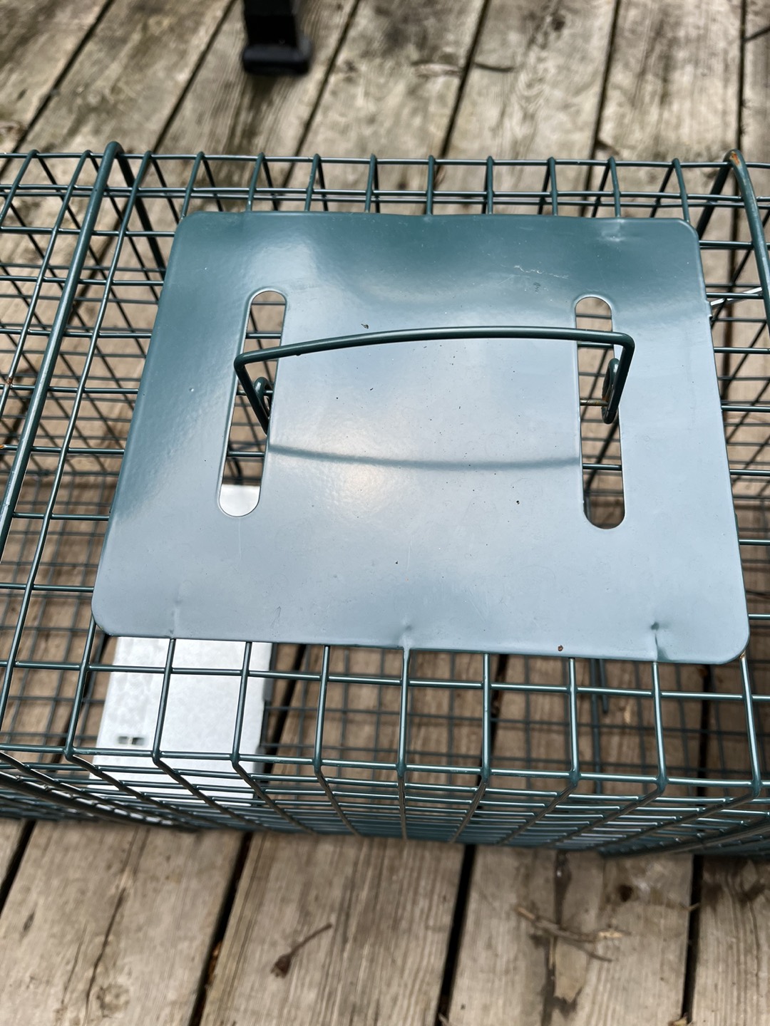 Animal Trap (Will work with Racoons) - photo 5