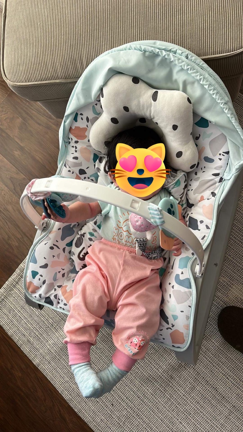 Baby bouncer