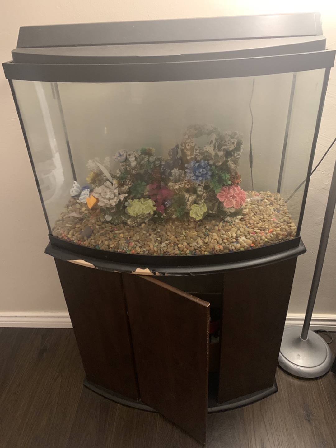 65gal fish tank - photo 4