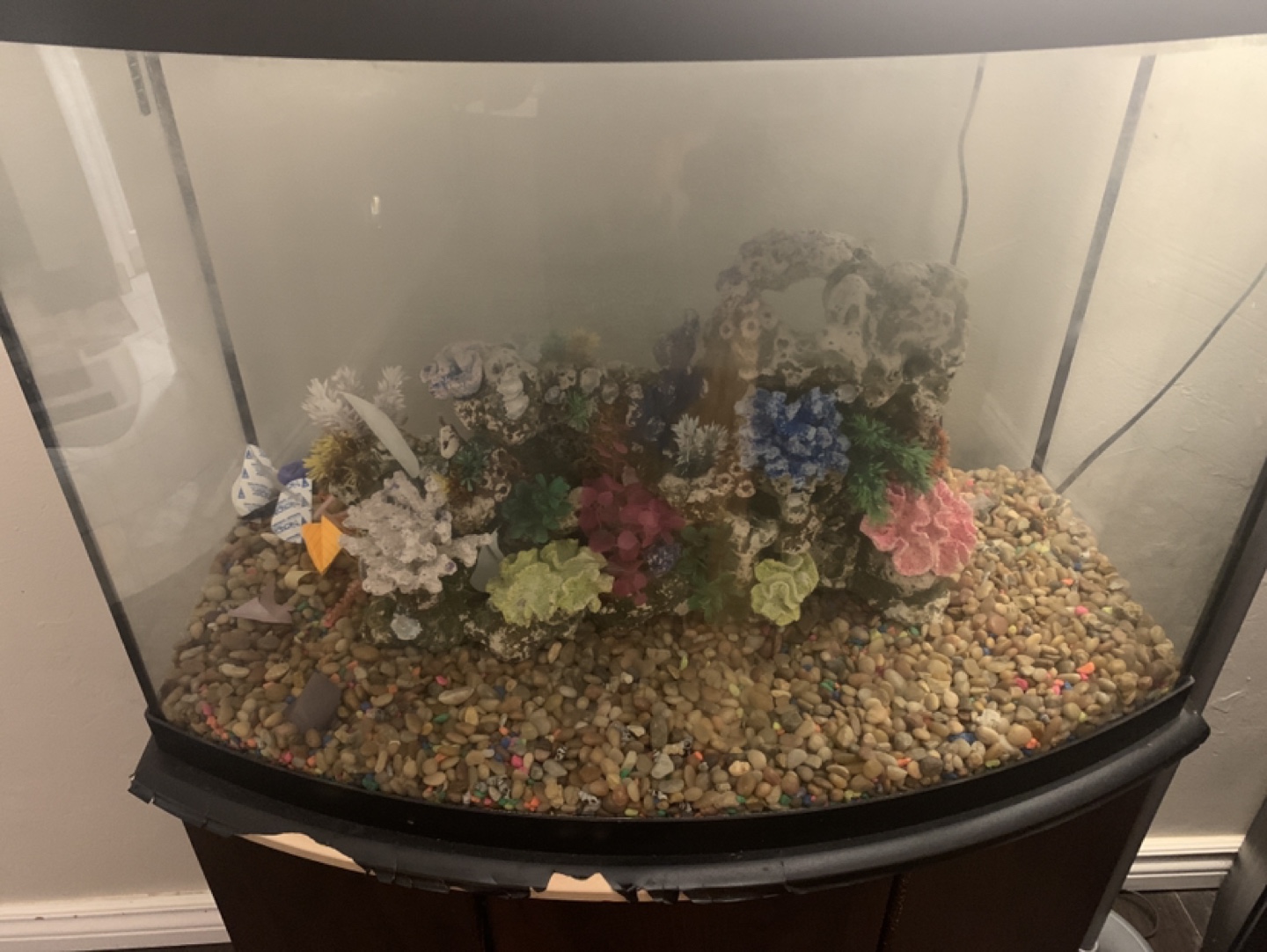 65gal fish tank - photo 2