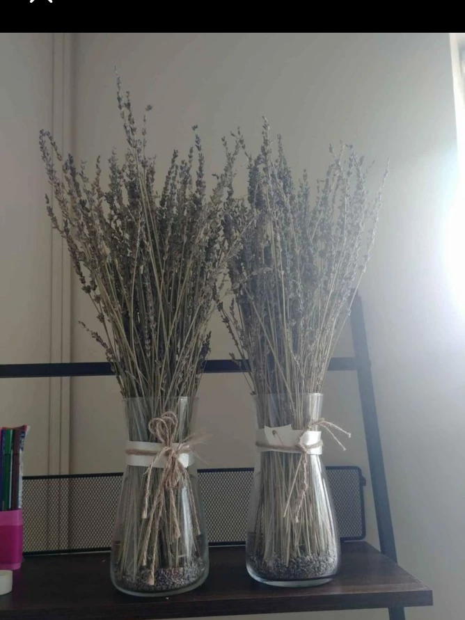 Flower vase dried lavender