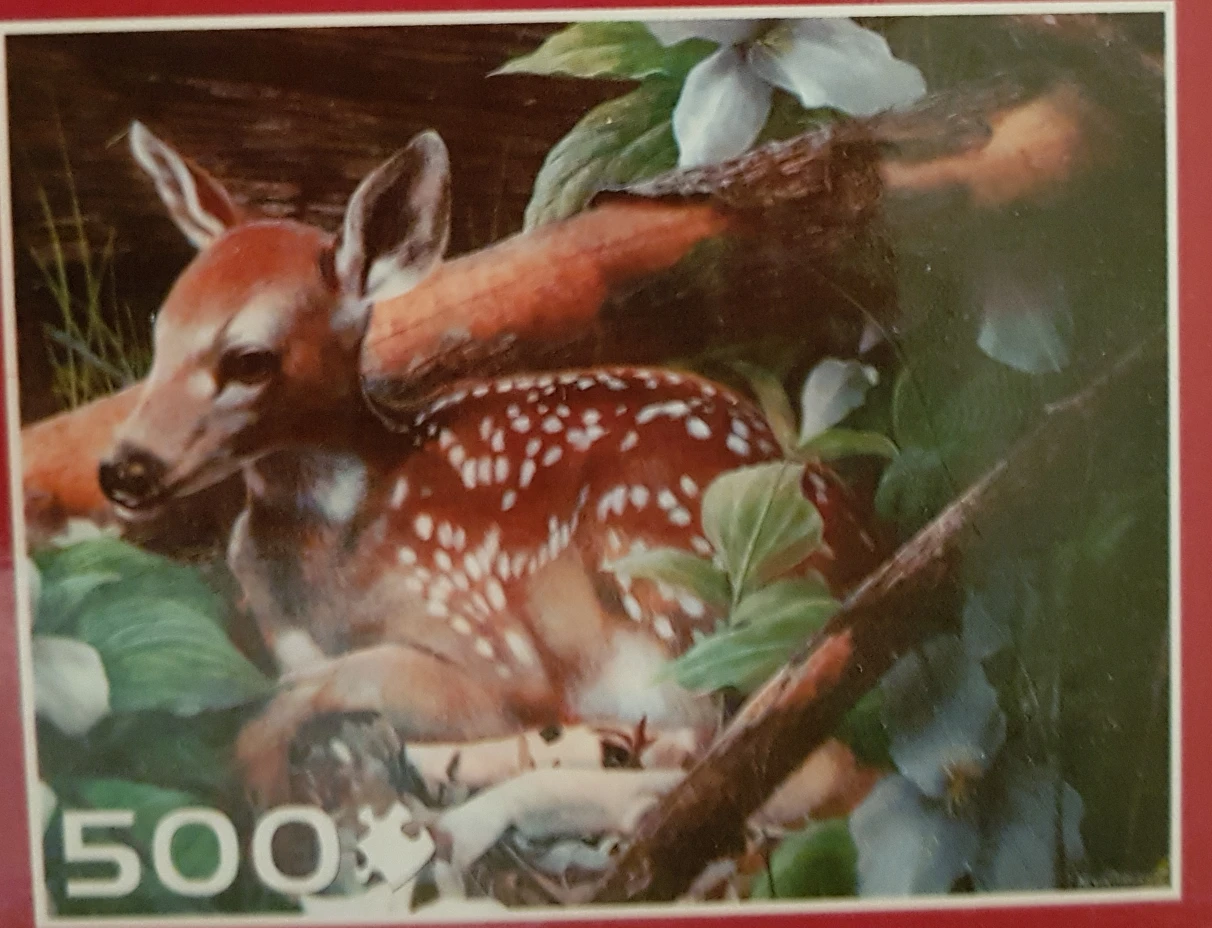 BOX OF FIVE PUZZLES🧩🏈 image indicator(8)