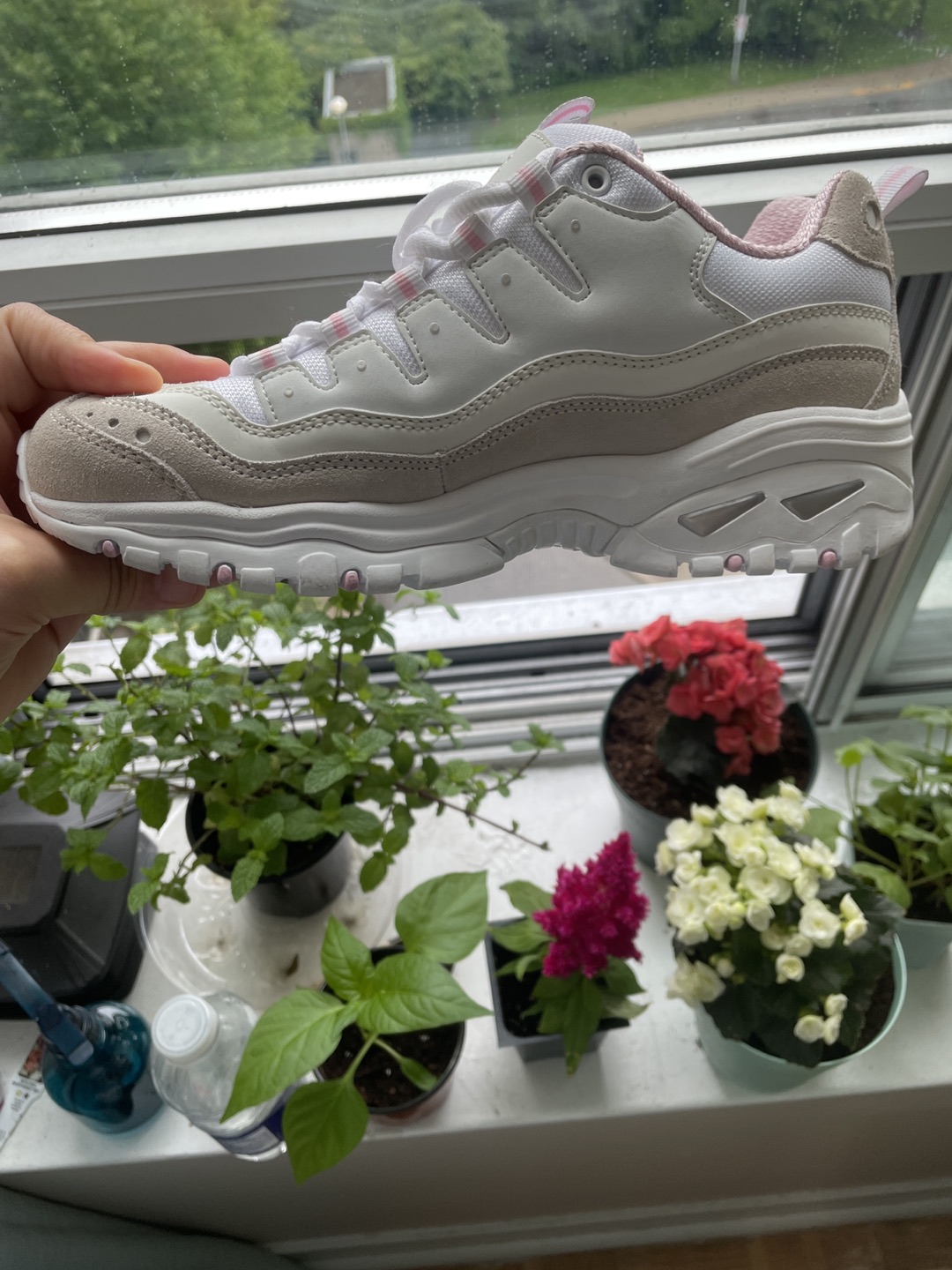 Women Sketchers sneakers