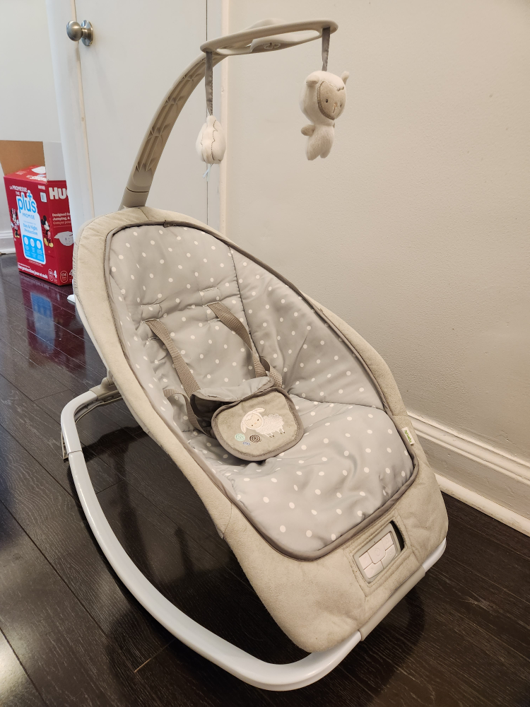 Ingenuity Baby/infant Rocker