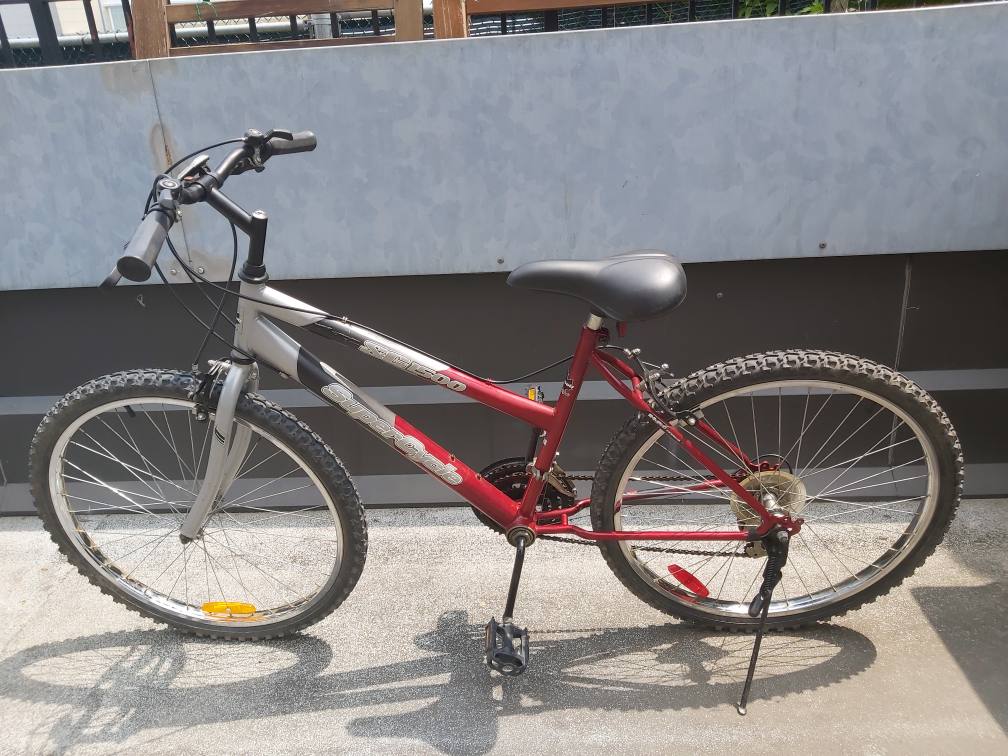 Mountain Bike - photo 2