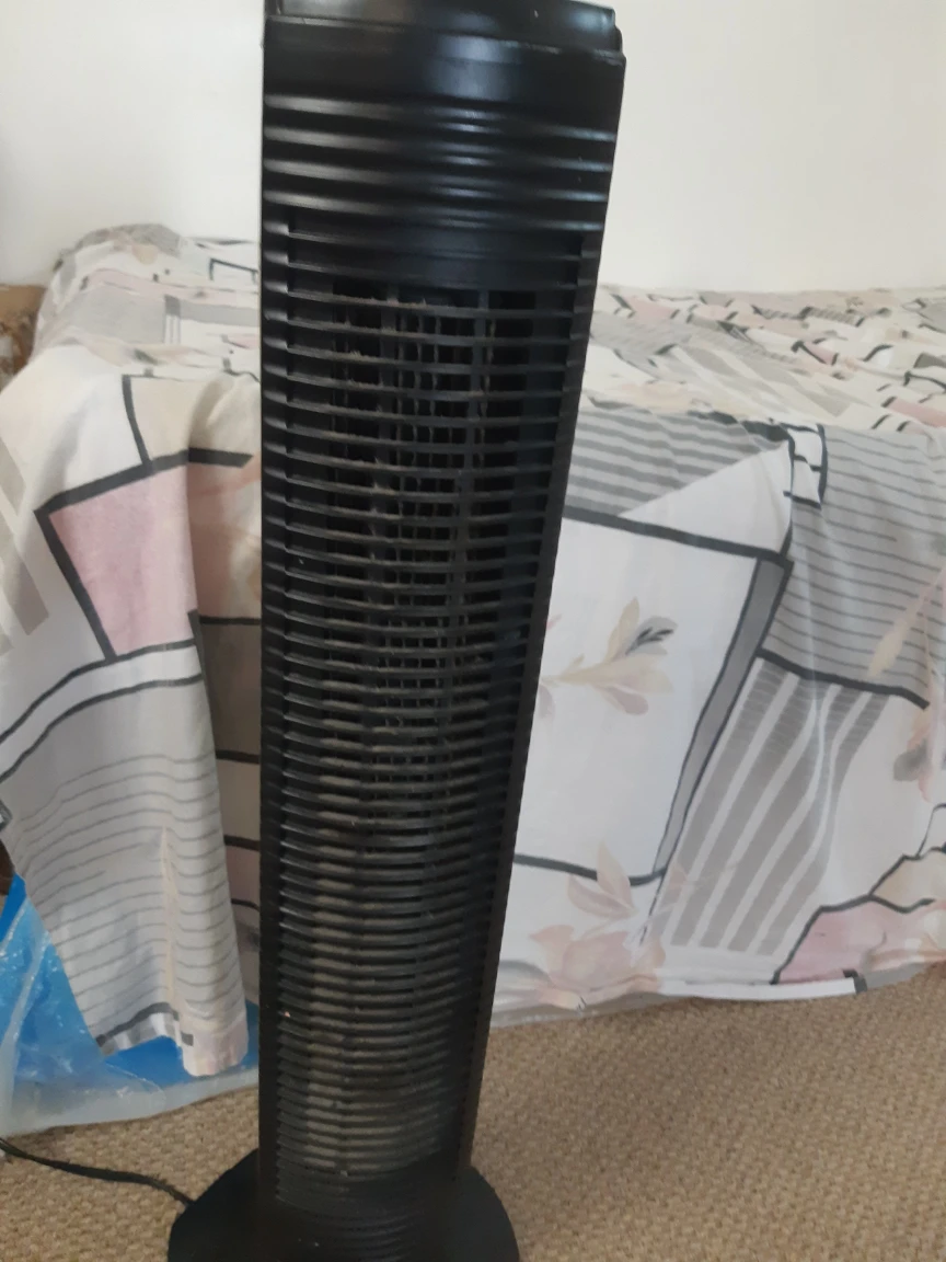 fan