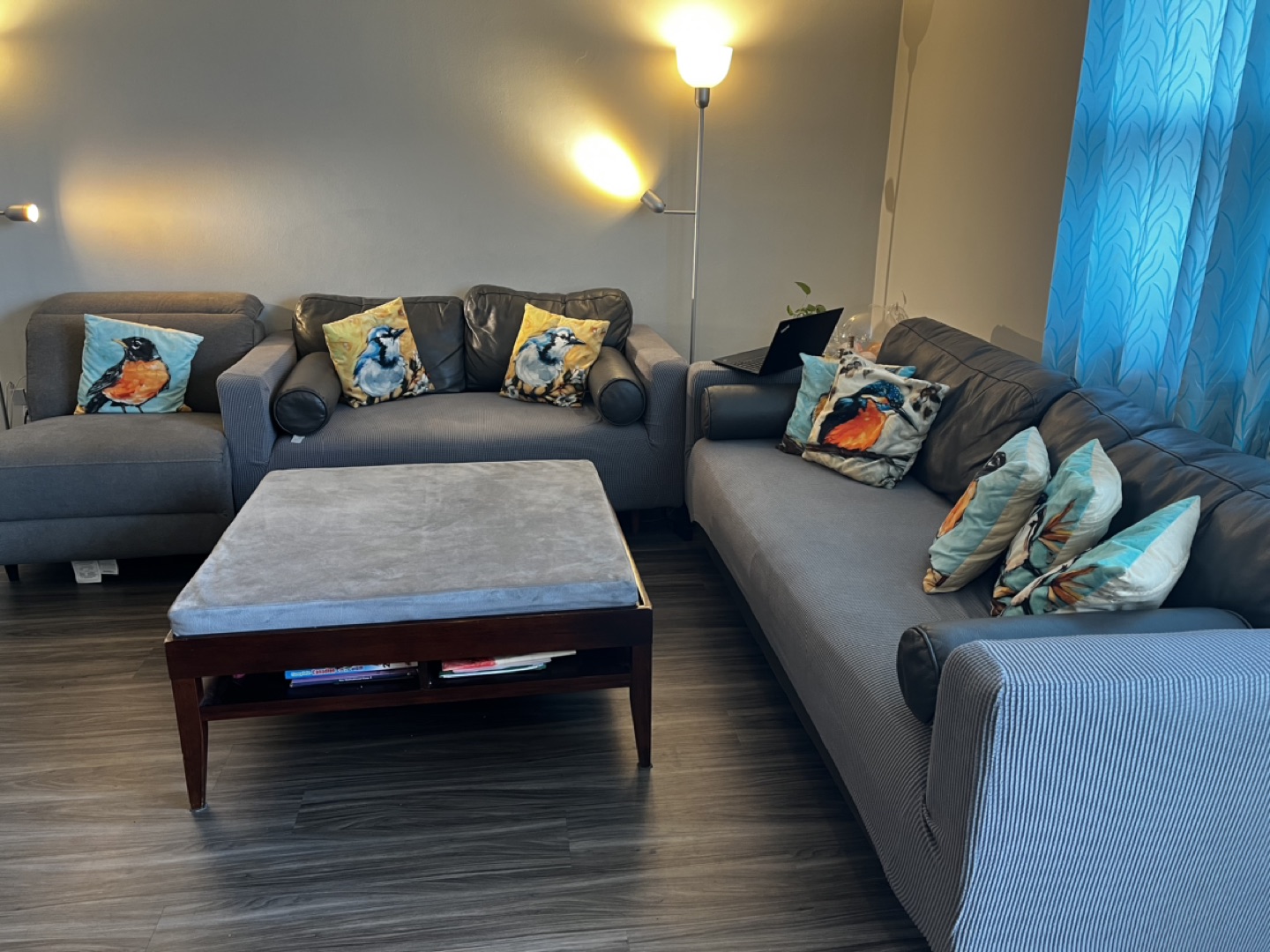 Sofa set with center table