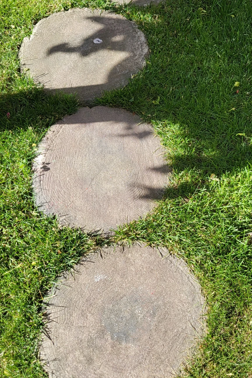 Circular Stepping Stones