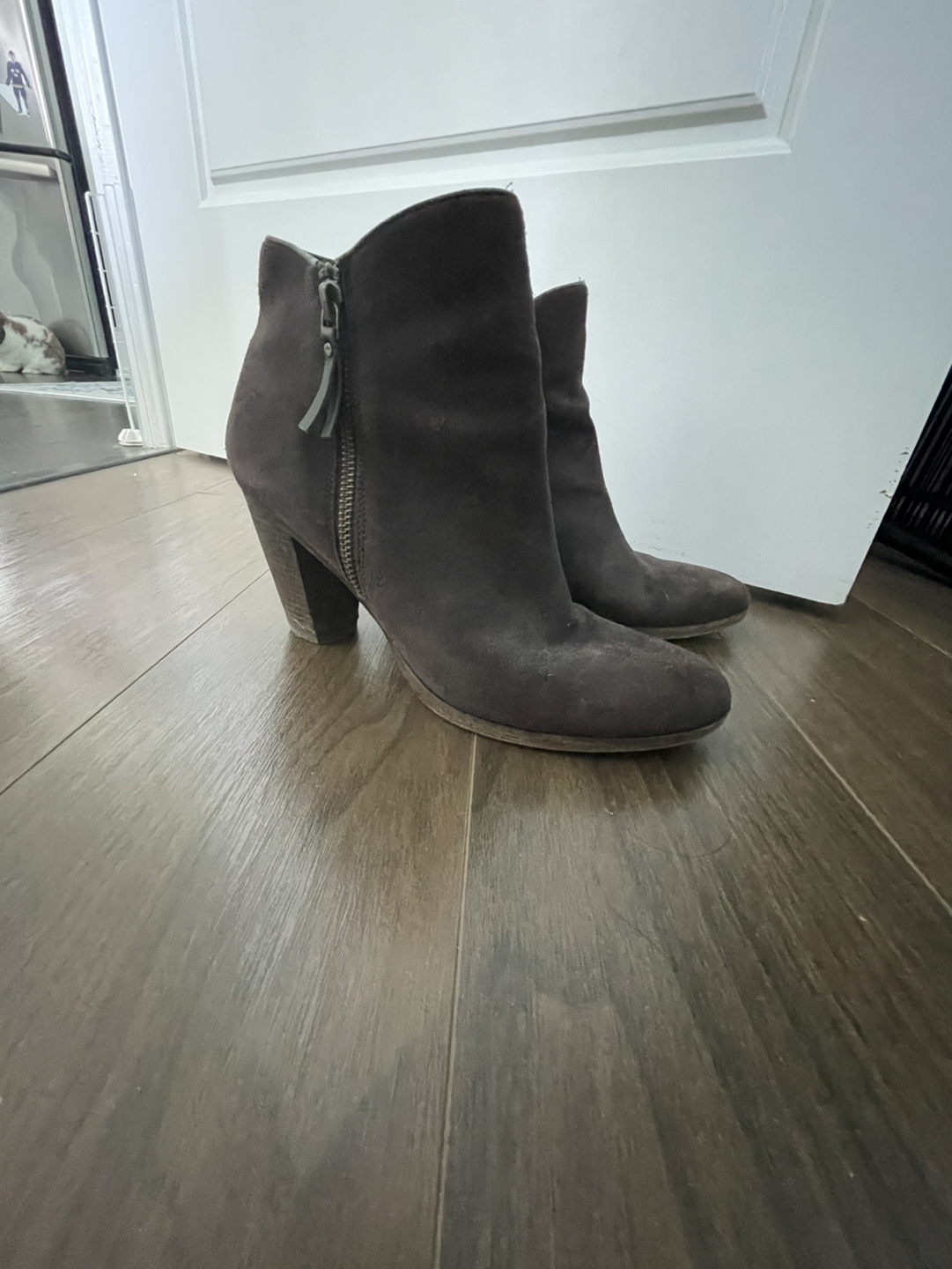 Brown Booties thumbnail