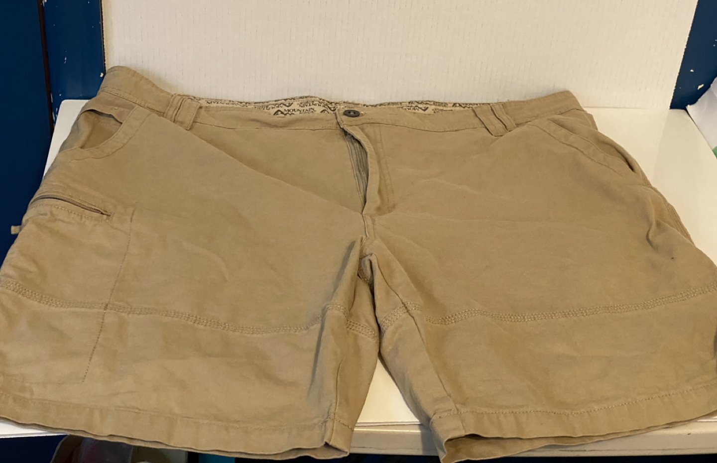 Mountain Ridge Cargo Shorts image indicator(2)