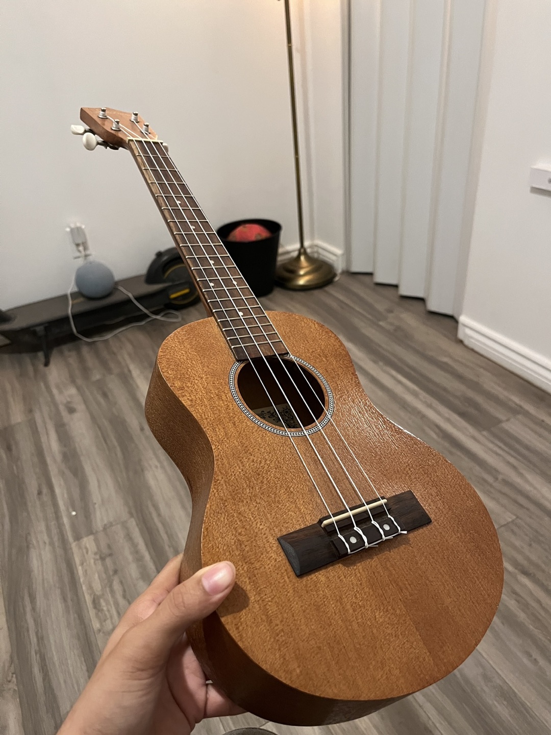 Spectrum Ukulele - photo 2