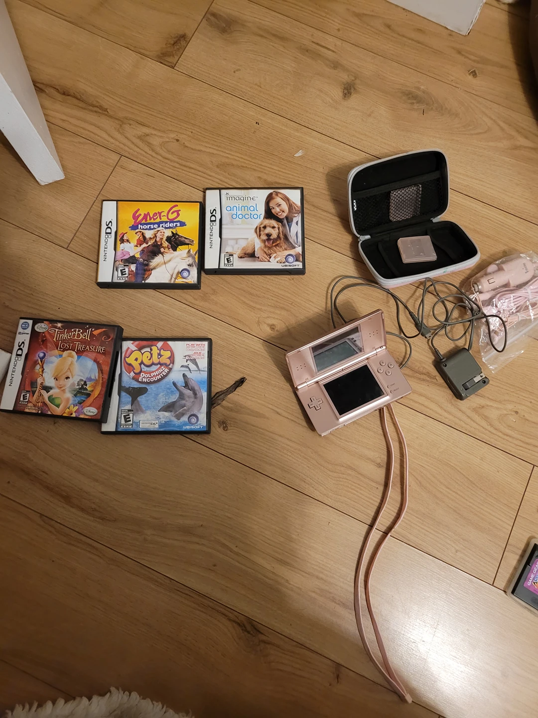 Nintendo DS image indicator(3)