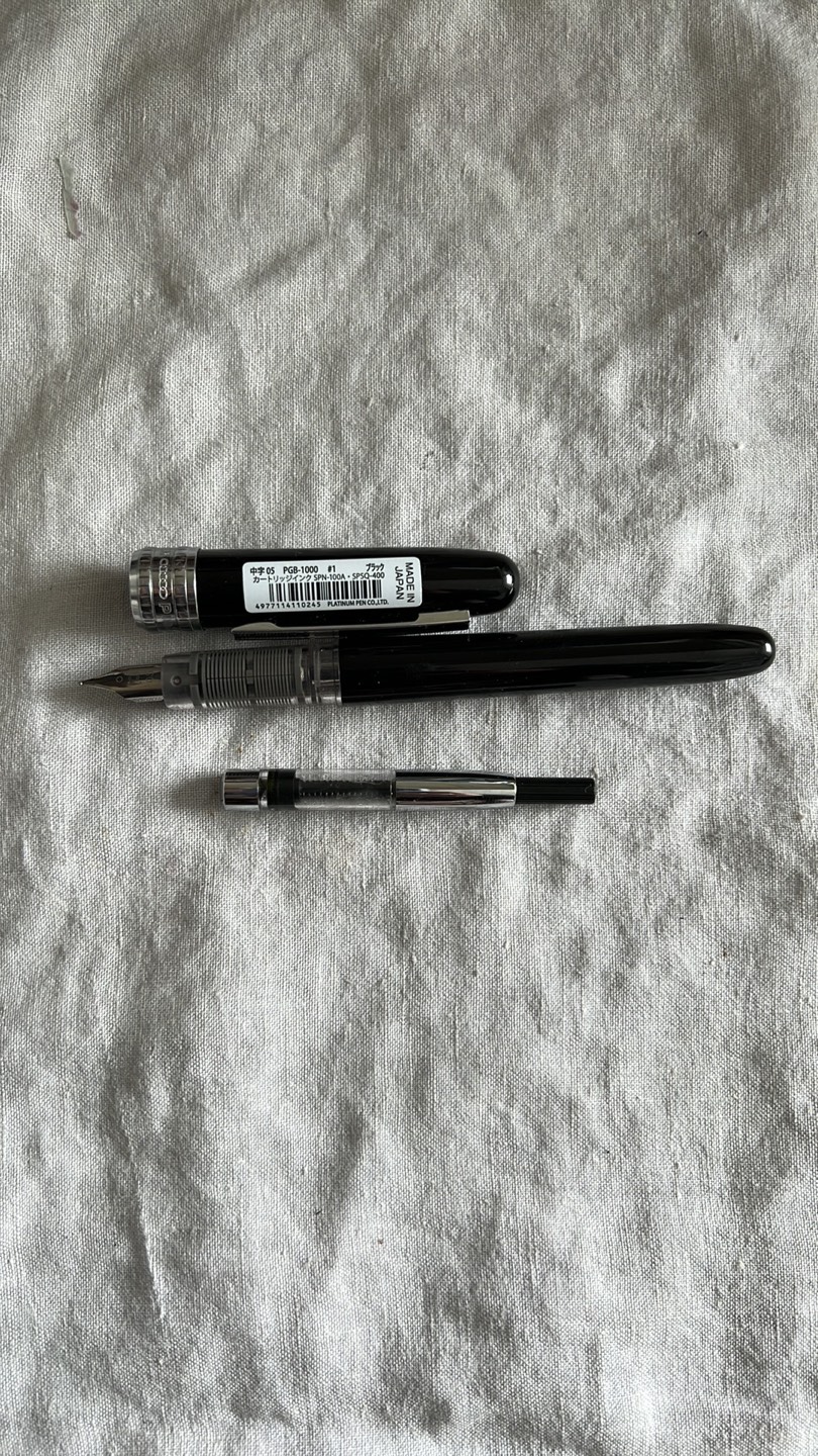 Platinum Plaisir Fountain Pen (M) 🎁 thumbnail