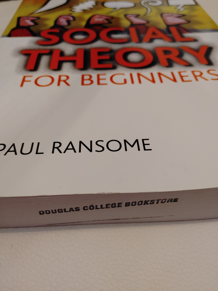 Social Theory for Beginners - photo 3