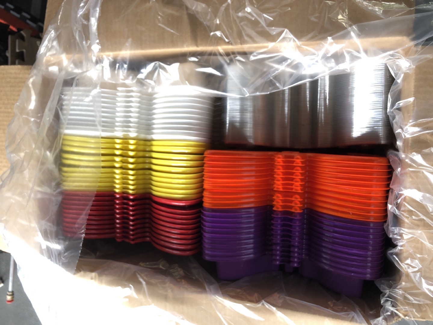 Butterfly, assorted colours, containers! - photo 2