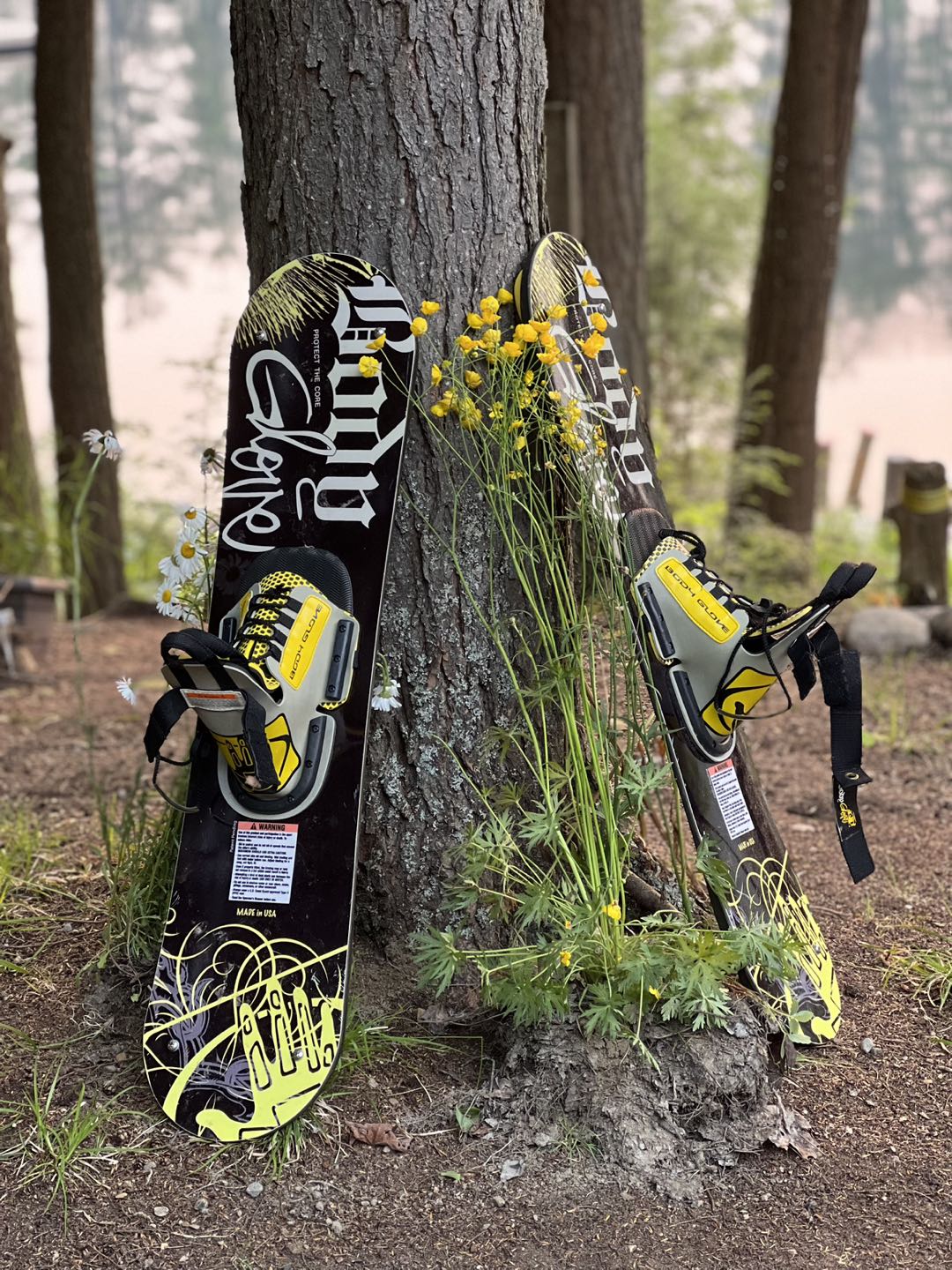 Water skis image indicator(2)