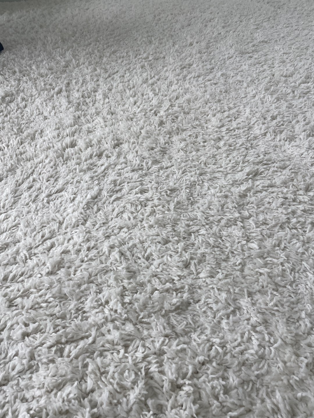 8’x 8’ shag off white carpet in very good condition - photo 2