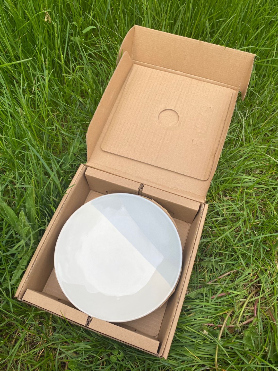 Plate Set 4 pcs. Dowan New Original Packing - photo 3
