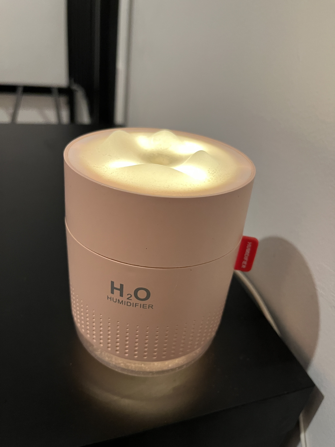 H2O Humidifier