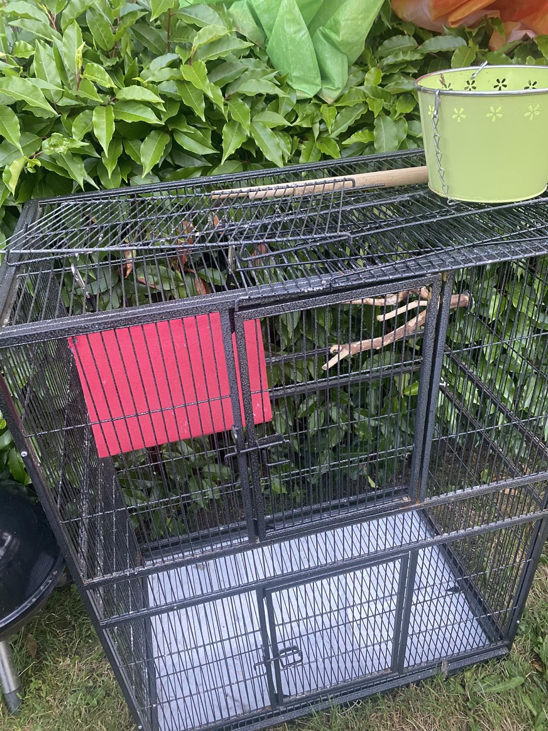 Large metal birdcage image indicator(2)