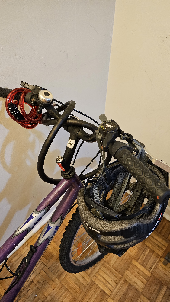 Bicycle - photo 3
