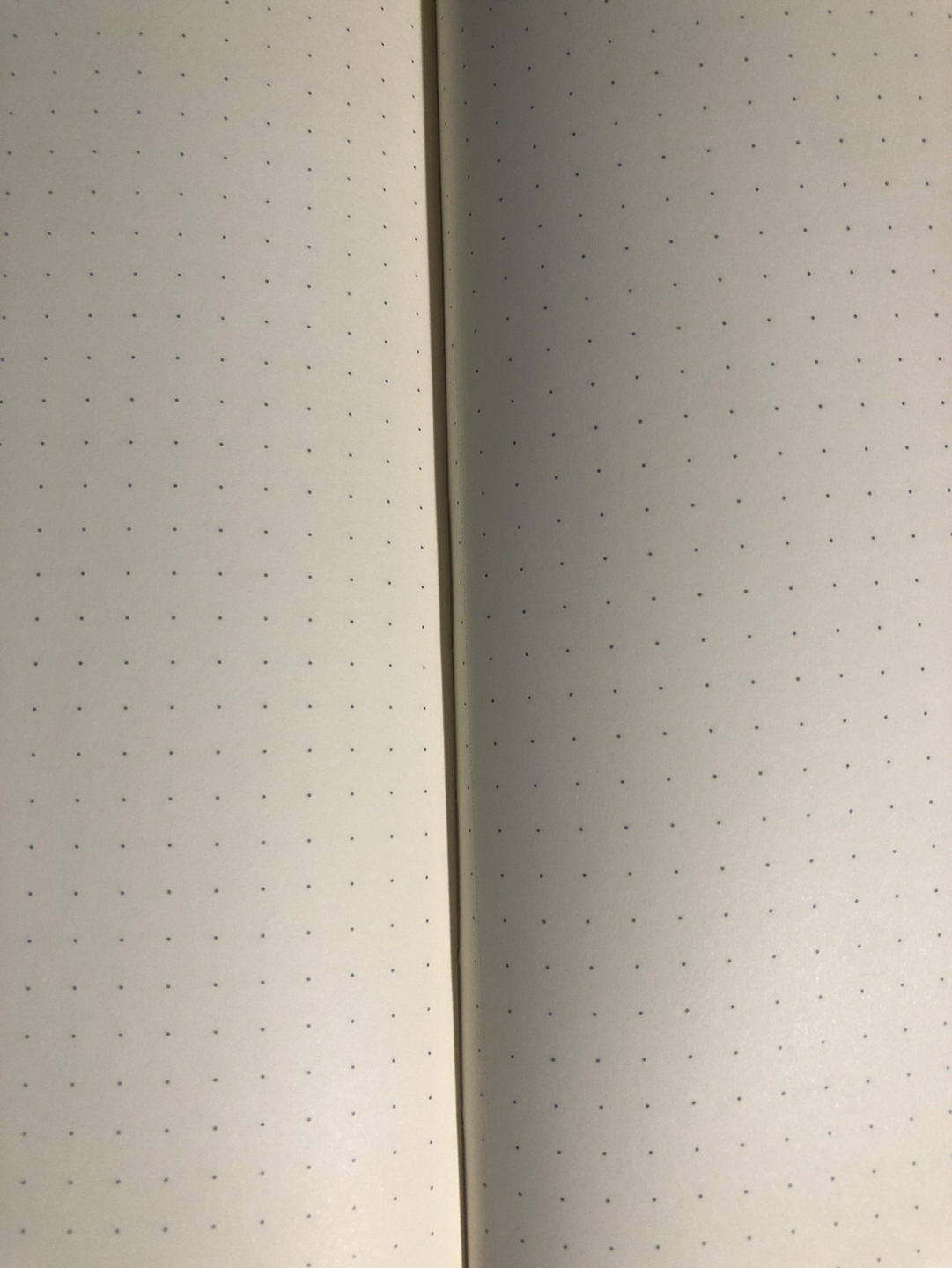 Dingbats X Shopify Leather Grid Notebook w/ purchase number image indicator(2)