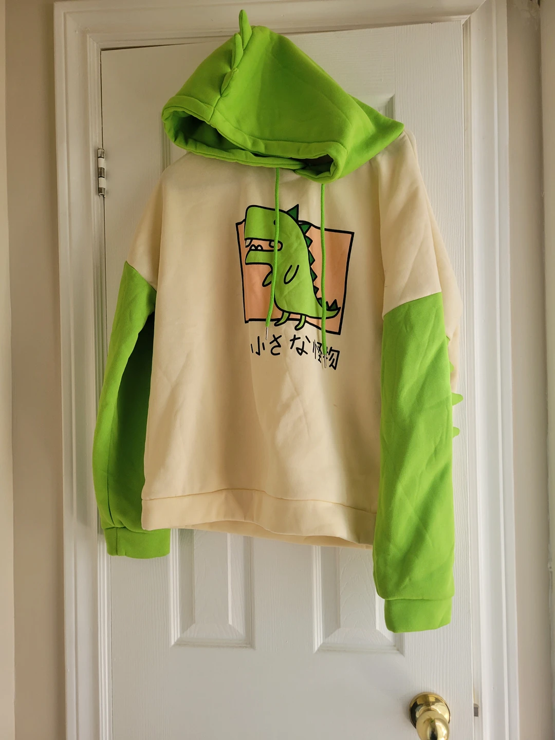 Dinosaur hoody