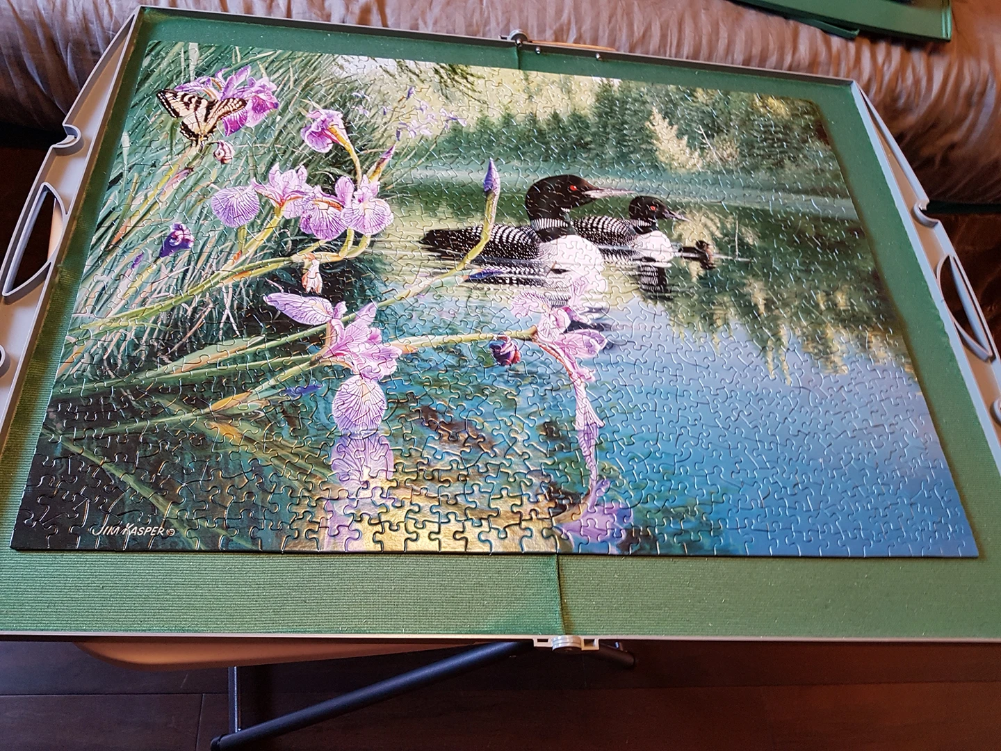 IRIS COVE PUZZLE🧩🏈 image indicator(2)