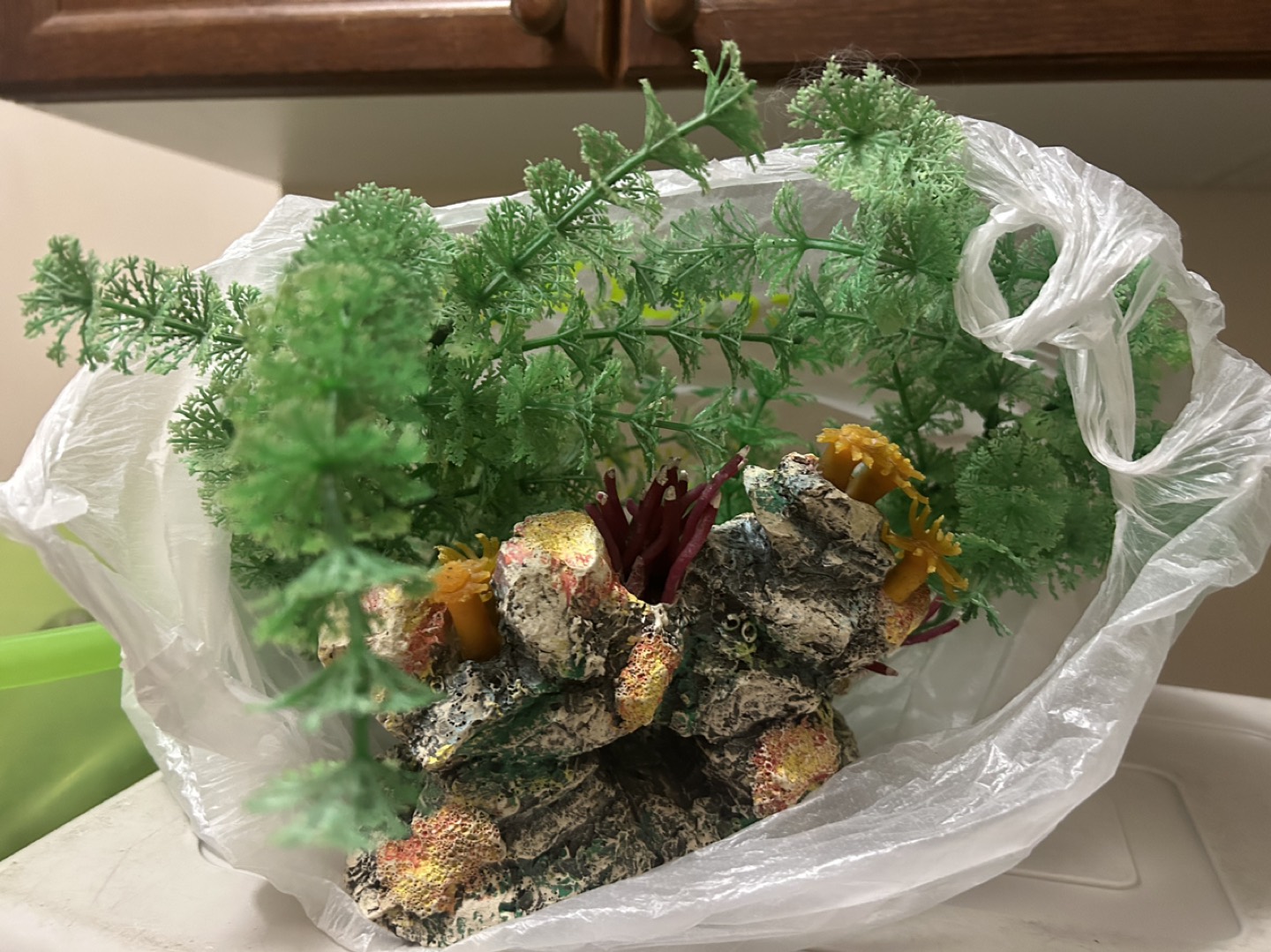 Aquarium decoration