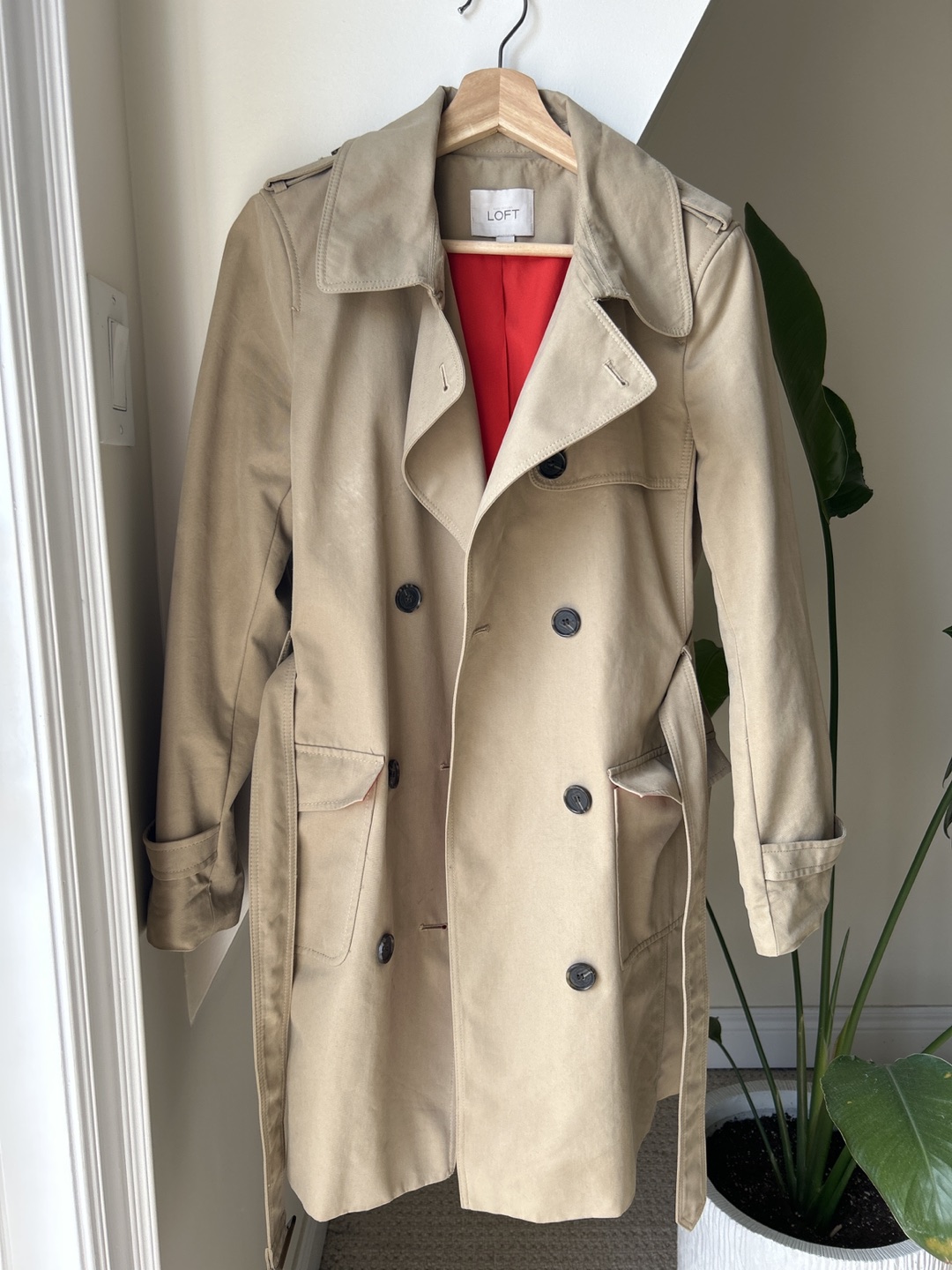 Loft Trench Coat thumbnail