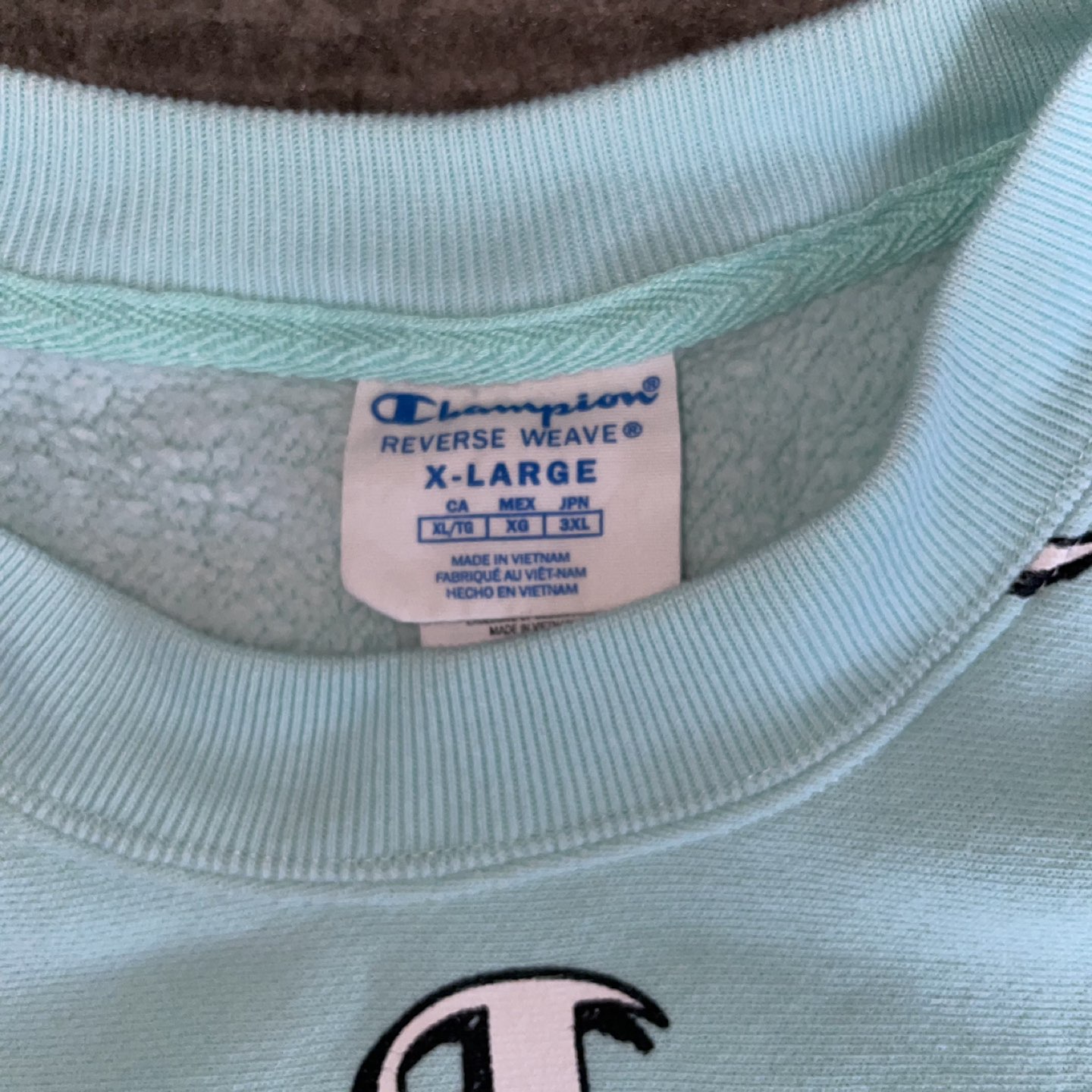 Turquoise Monogram Champion Crewneck Sweater - photo 2
