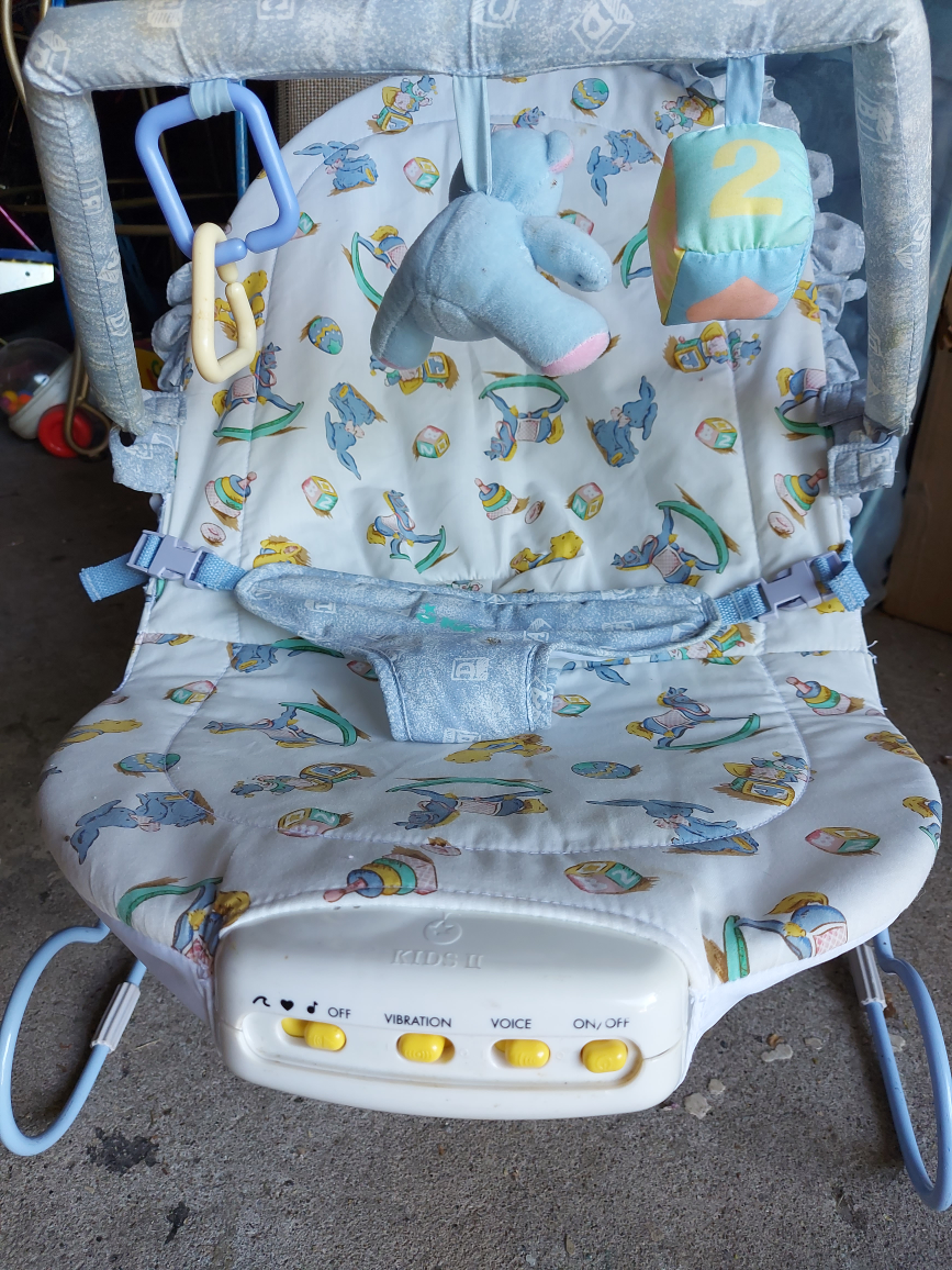 Baby bouncy chair image indicator(2)