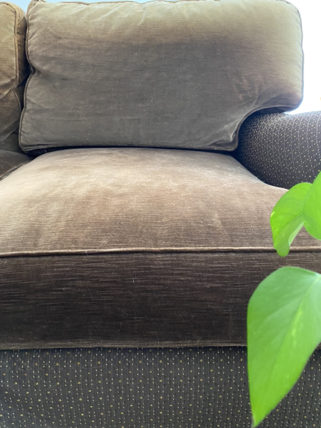 Elegant sofa! image indicator(7)