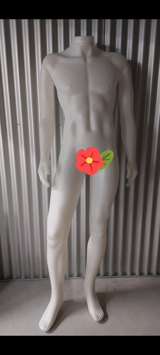 Male Mannequin thumbnail